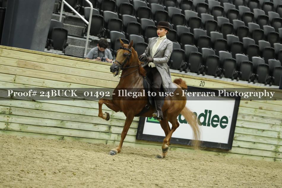 Proof 24BUCK_01492