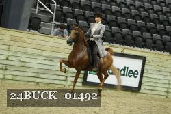 24BUCK_01492 proof