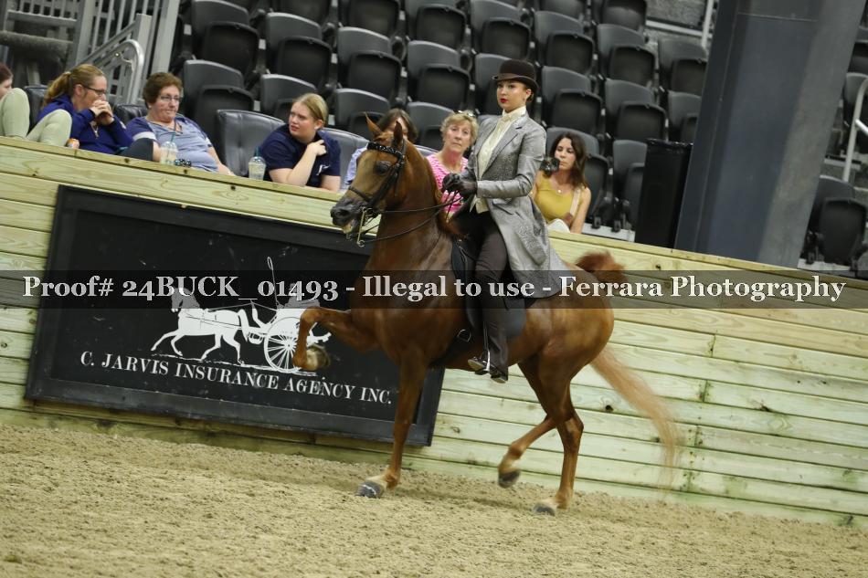 Proof 24BUCK_01493
