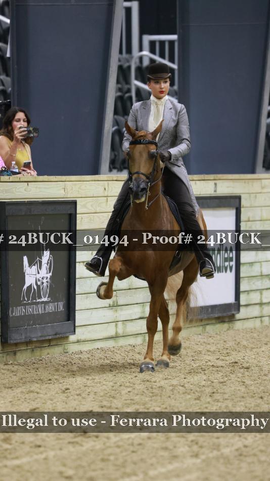 Proof 24BUCK_01494