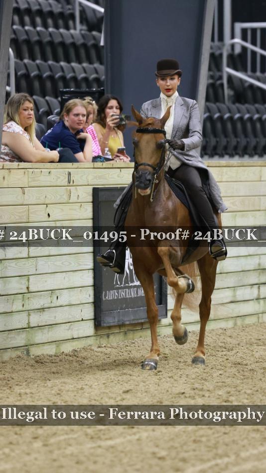 Proof 24BUCK_01495