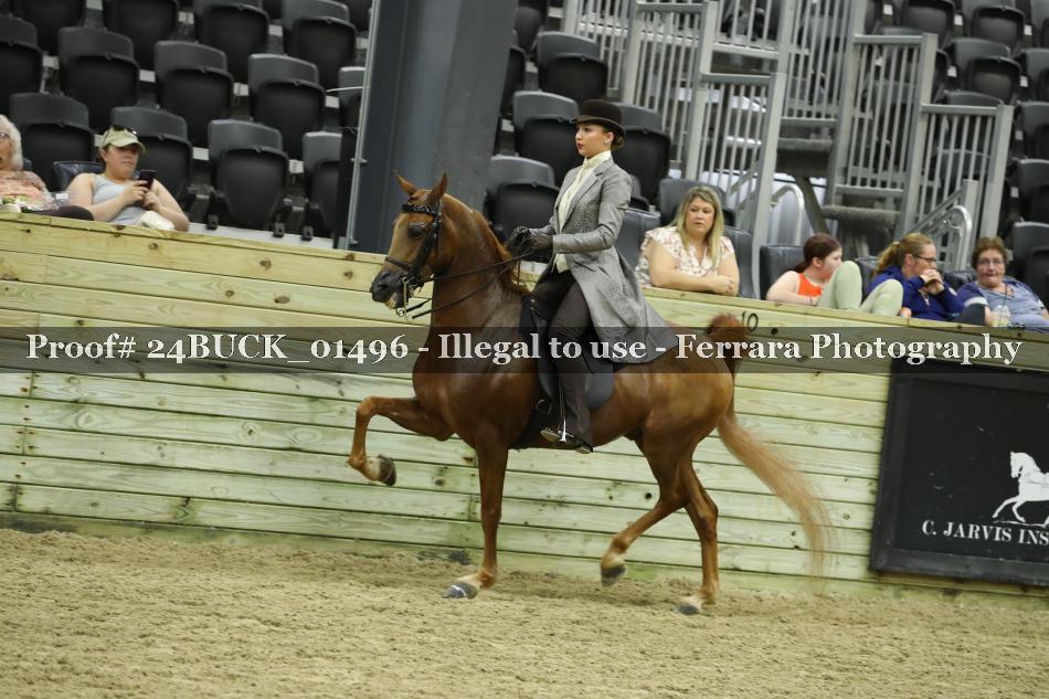 Proof 24BUCK_01496