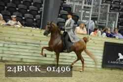 24BUCK_01496 proof