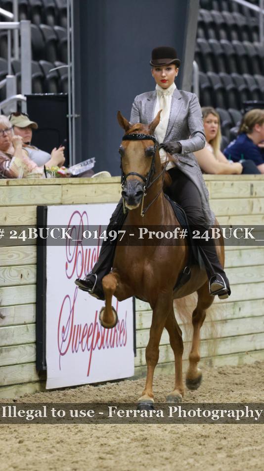 Proof 24BUCK_01497