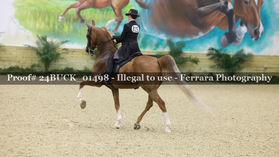 Proof 24BUCK_01498
