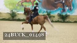 24BUCK_01498 proof