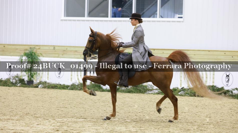 Proof 24BUCK_01499