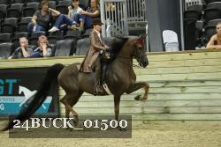 24BUCK_01500 proof
