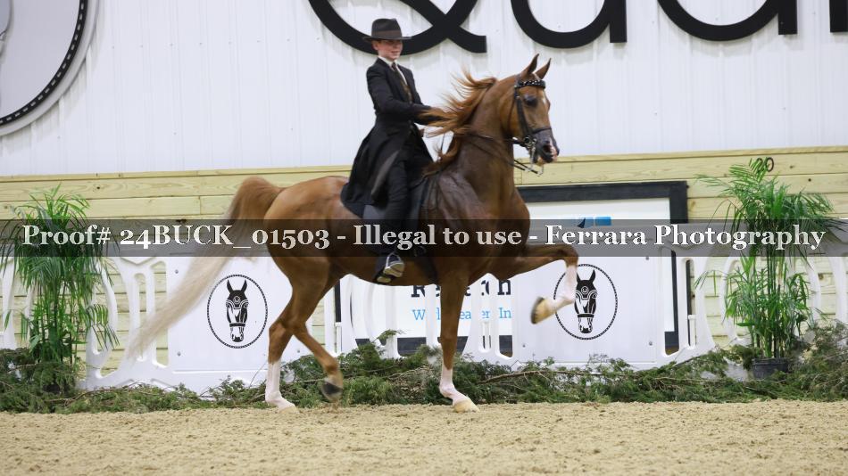 Proof 24BUCK_01503