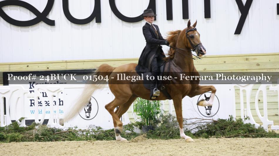 Proof 24BUCK_01504