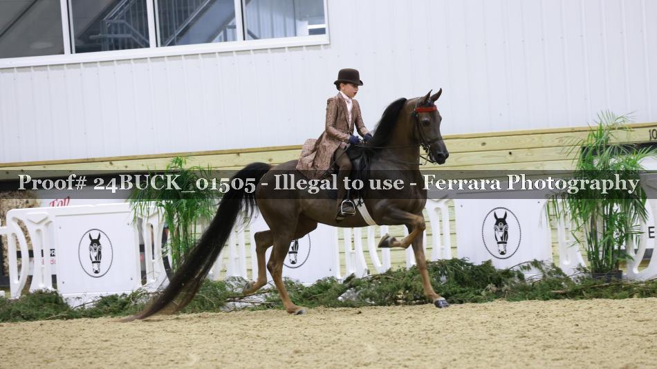 Proof 24BUCK_01505