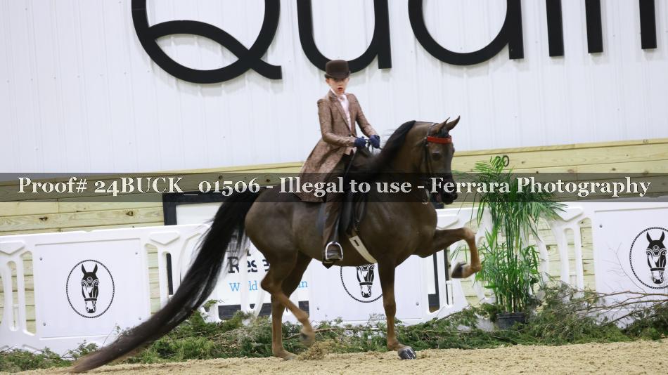 Proof 24BUCK_01506
