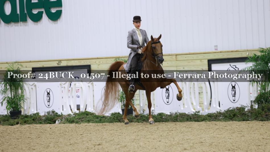 Proof 24BUCK_01507
