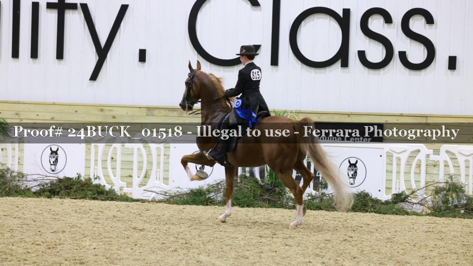Proof 24BUCK_01518