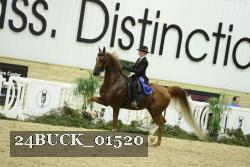 24BUCK_01520 proof