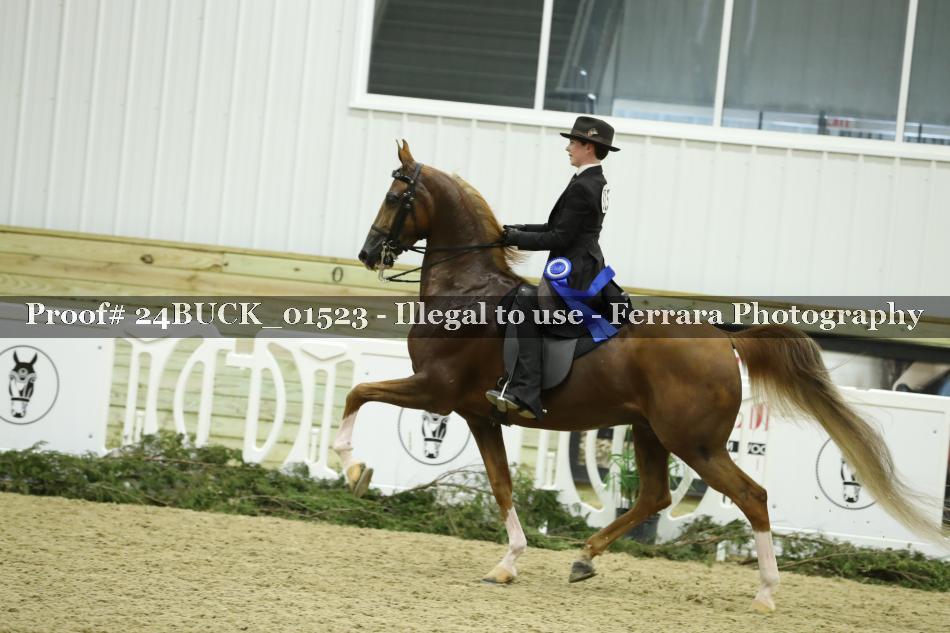 Proof 24BUCK_01523