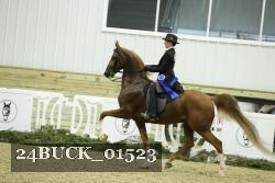 24BUCK_01523 proof