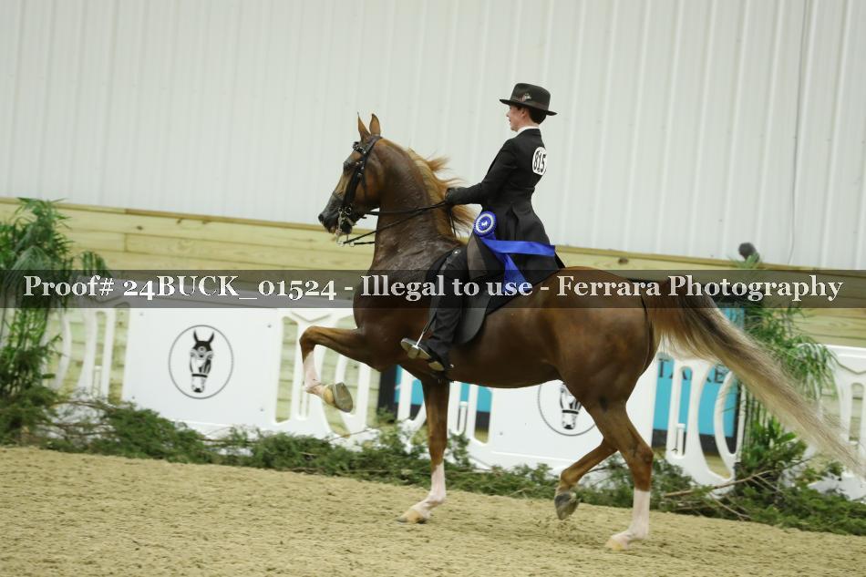 Proof 24BUCK_01524