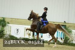 24BUCK_01524 proof