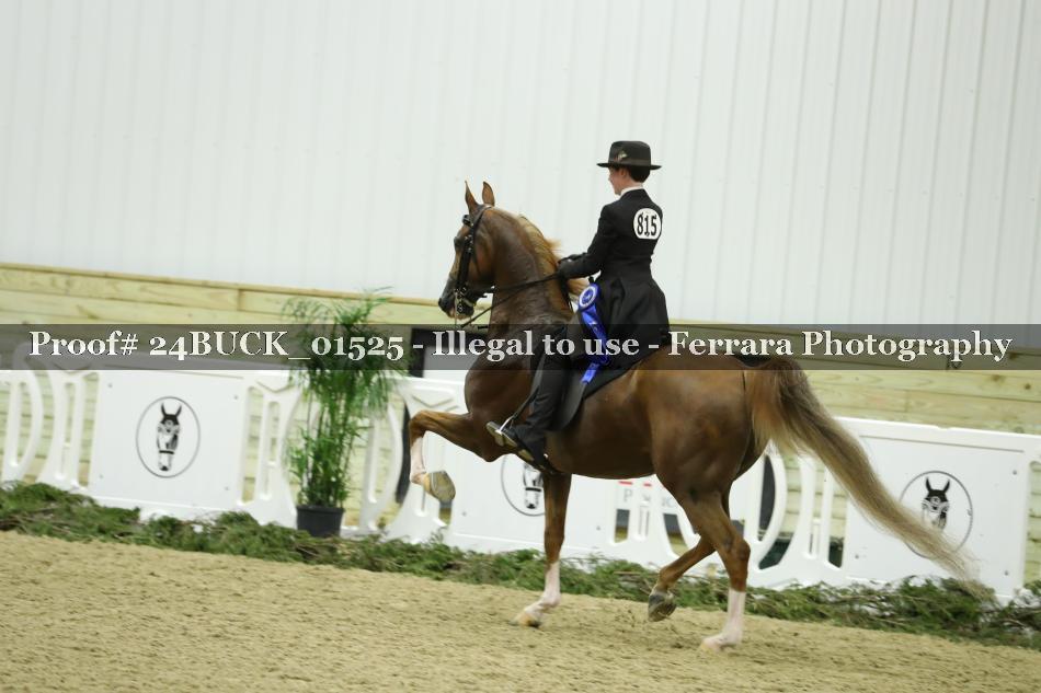 Proof 24BUCK_01525