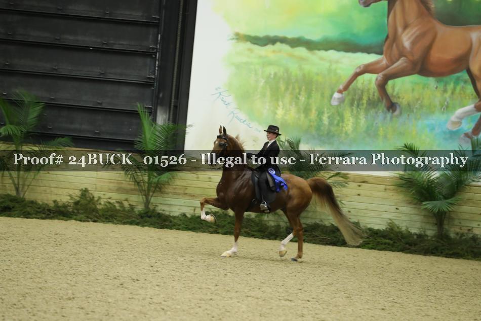 Proof 24BUCK_01526
