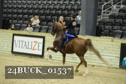 24BUCK_01537 proof