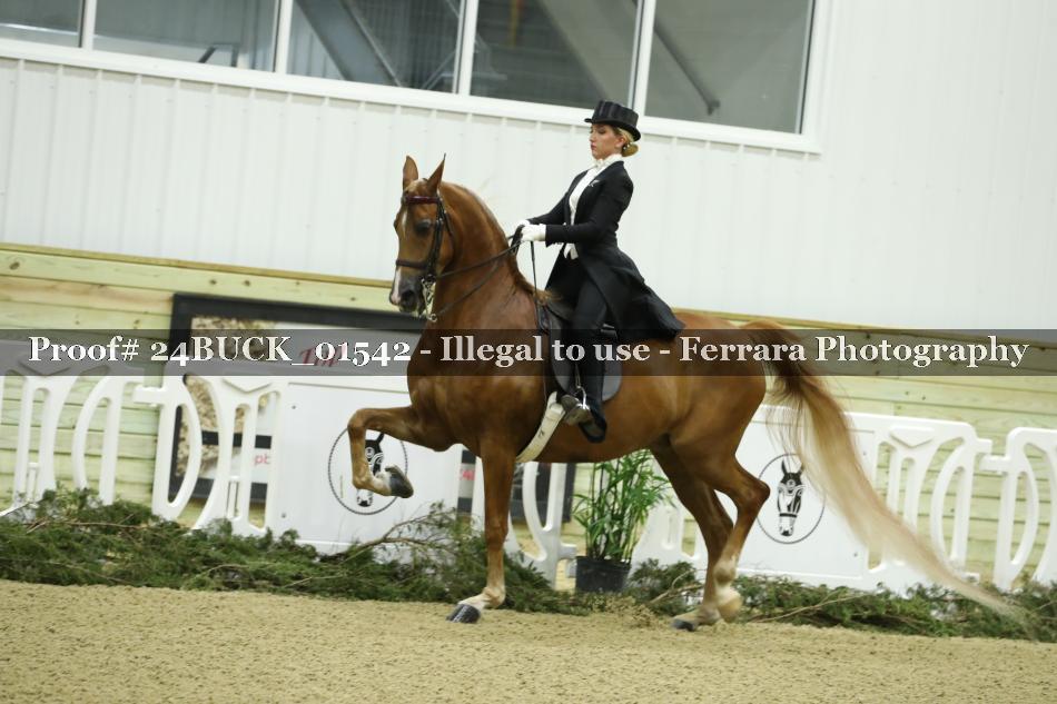 Proof 24BUCK_01542
