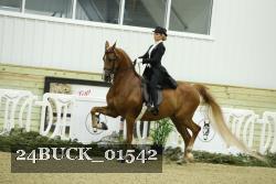 24BUCK_01542 proof