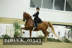 24BUCK_01543 proof