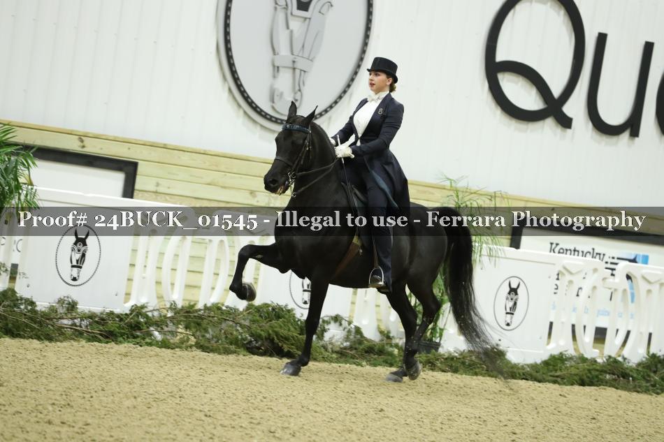 Proof 24BUCK_01545