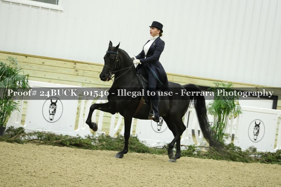 Proof 24BUCK_01546