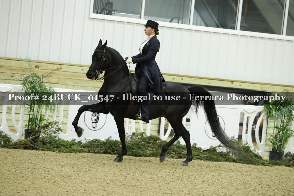 Proof 24BUCK_01547