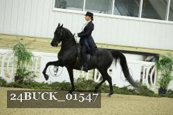 24BUCK_01547 proof