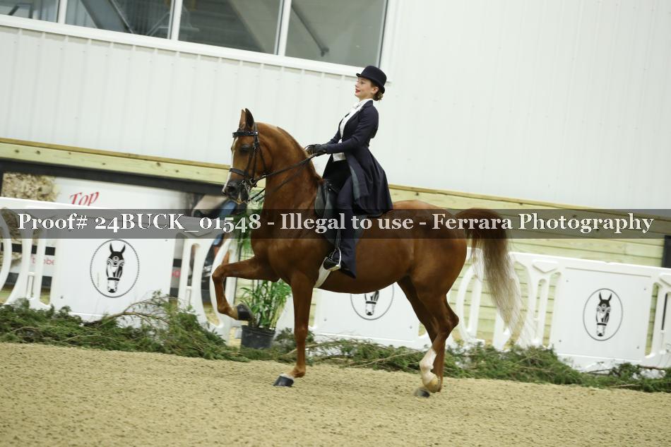 Proof 24BUCK_01548
