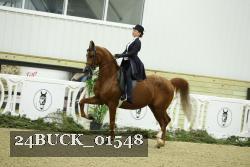 24BUCK_01548 proof