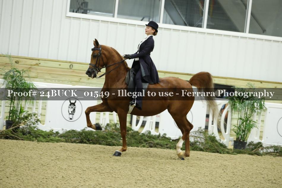 Proof 24BUCK_01549