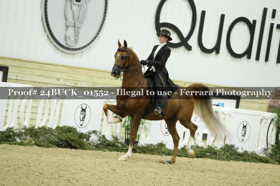 Proof 24BUCK_01552