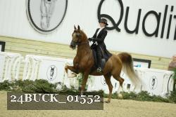 24BUCK_01552 proof