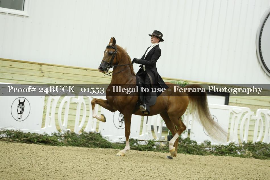Proof 24BUCK_01553