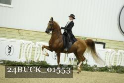 24BUCK_01553 proof