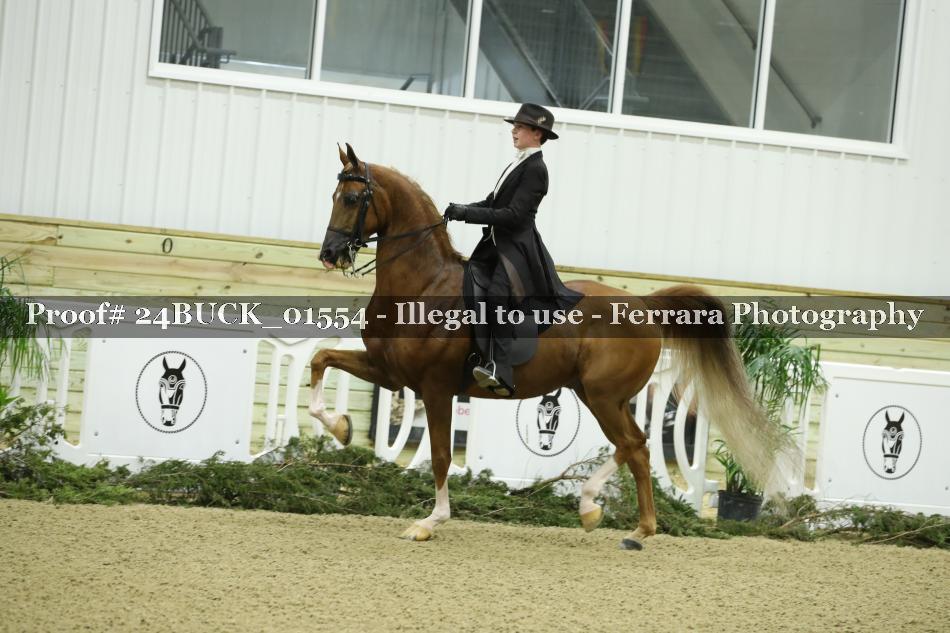 Proof 24BUCK_01554