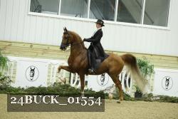 24BUCK_01554 proof