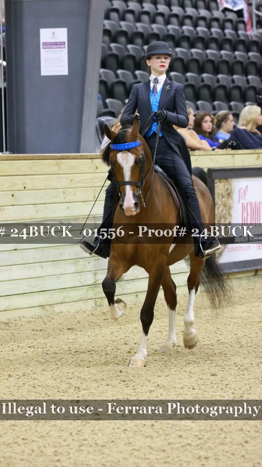 Proof 24BUCK_01556