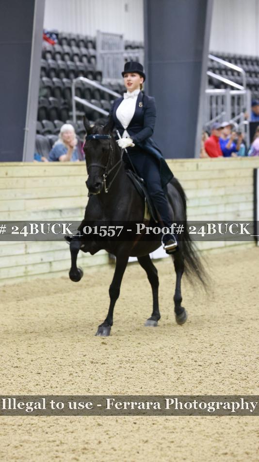 Proof 24BUCK_01557