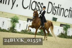 24BUCK_01558 proof