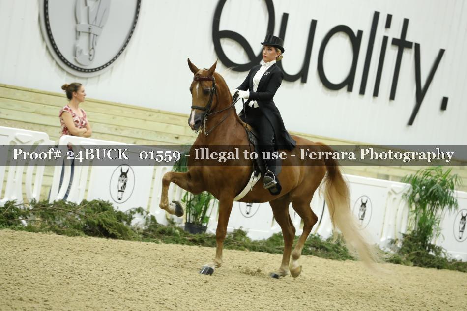 Proof 24BUCK_01559