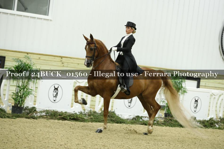 Proof 24BUCK_01560