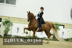 24BUCK_01560 proof