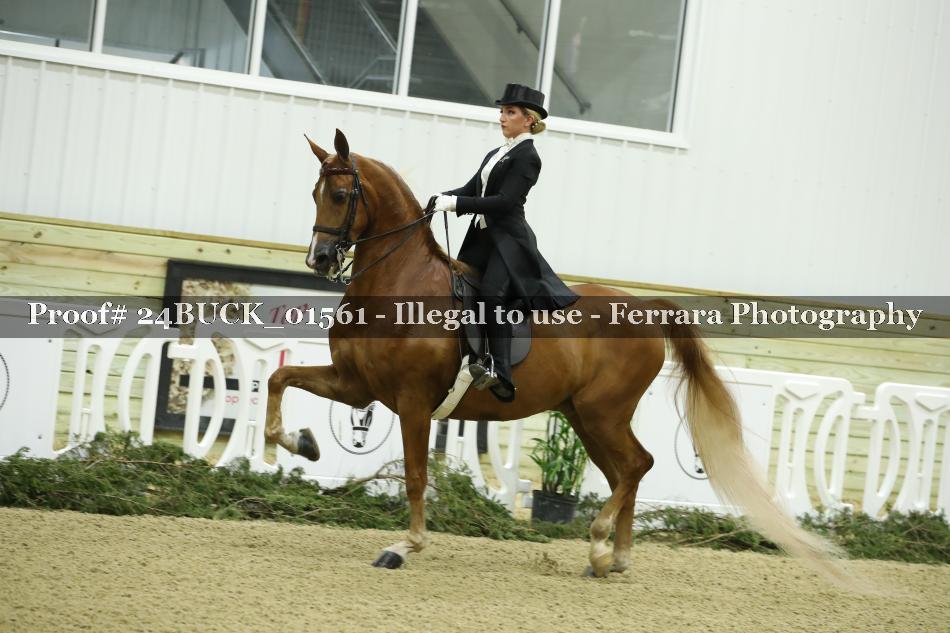Proof 24BUCK_01561