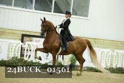 24BUCK_01561 proof